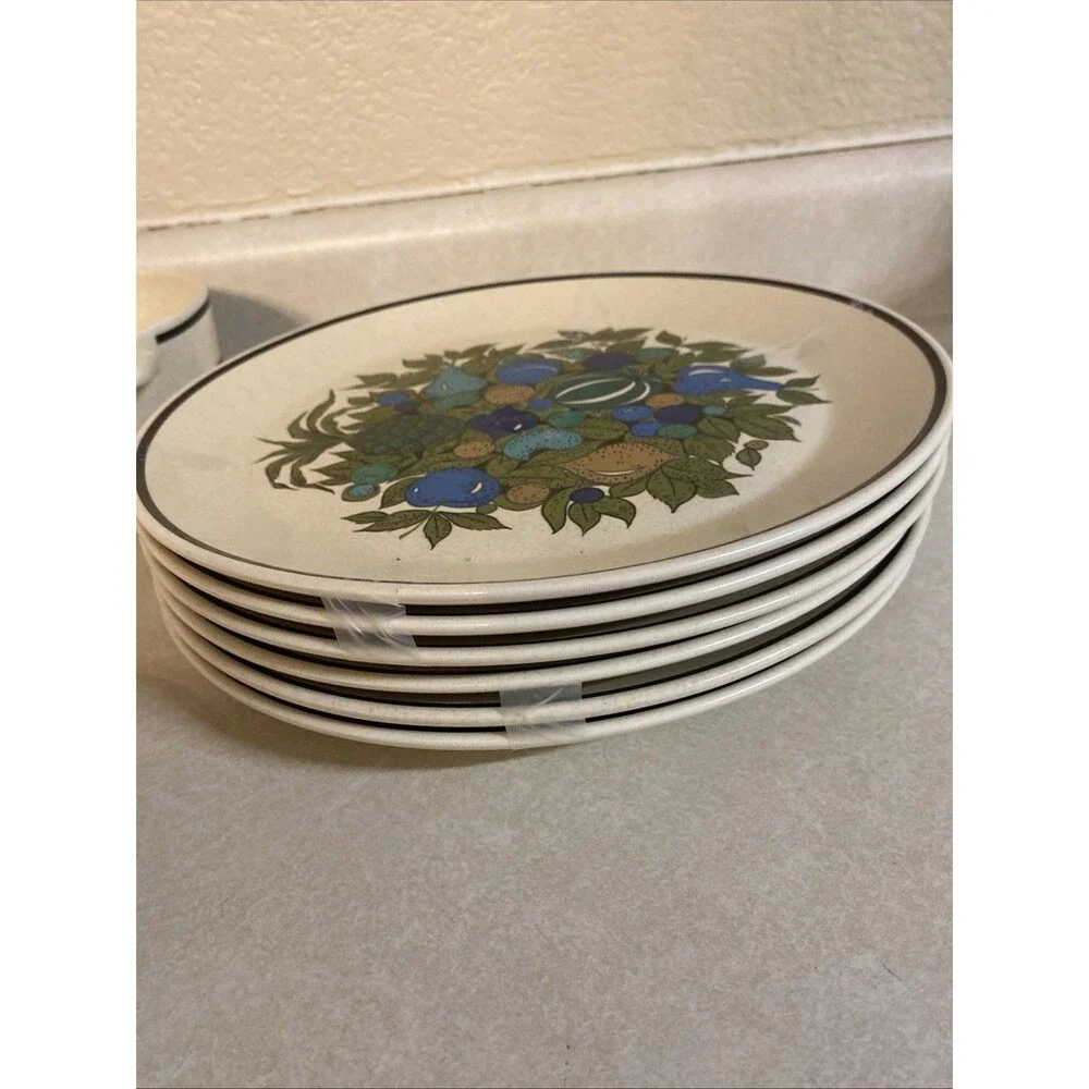 Temper Ware By Lenox Fall Bounty Dinnerware Lot 17 Pieces MCM